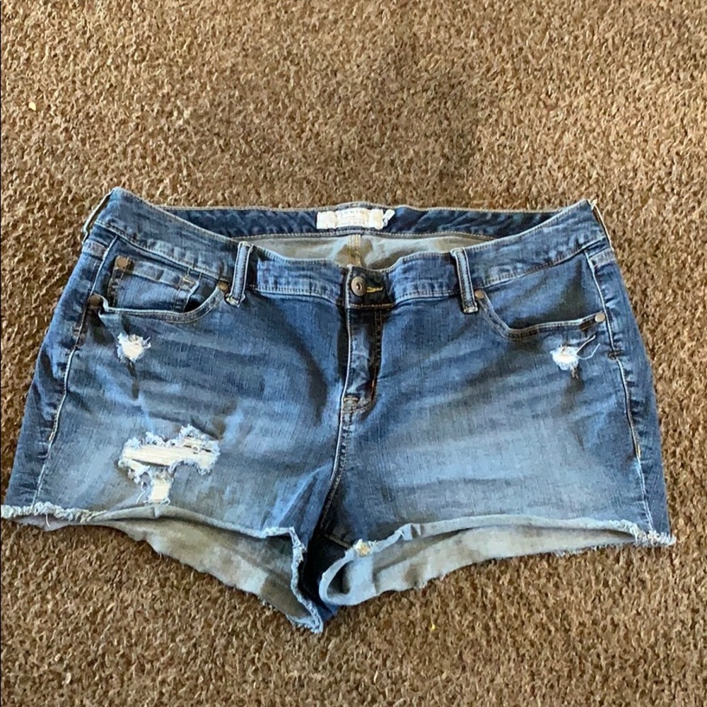 Torrid shorts